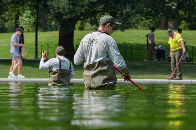 Trump’s ‘American flag blue’ reflecting pool turns nasty green after ...