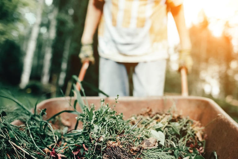 Deter ticks on your property with these 9 smart landscaping tips