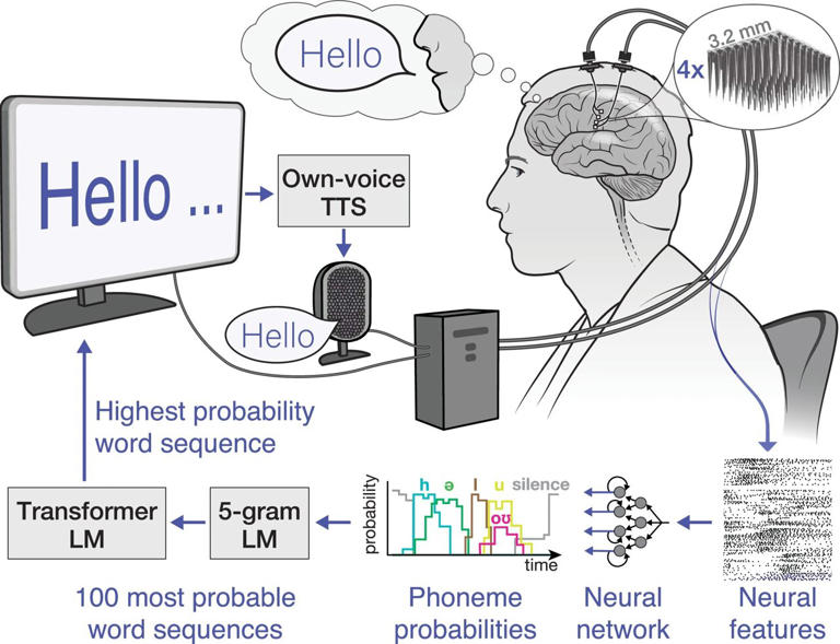 Brain-computer interface enables independent, accurate communication ...