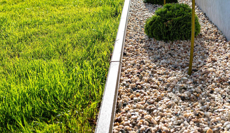 Deter ticks on your property with these 9 smart landscaping tips