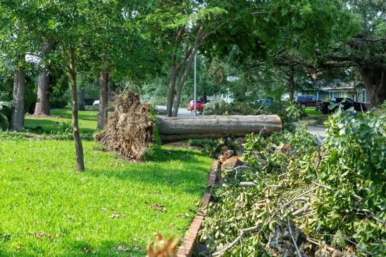 Comprehensive guide to post-storm recovery: Steps for a safer, smoother ...