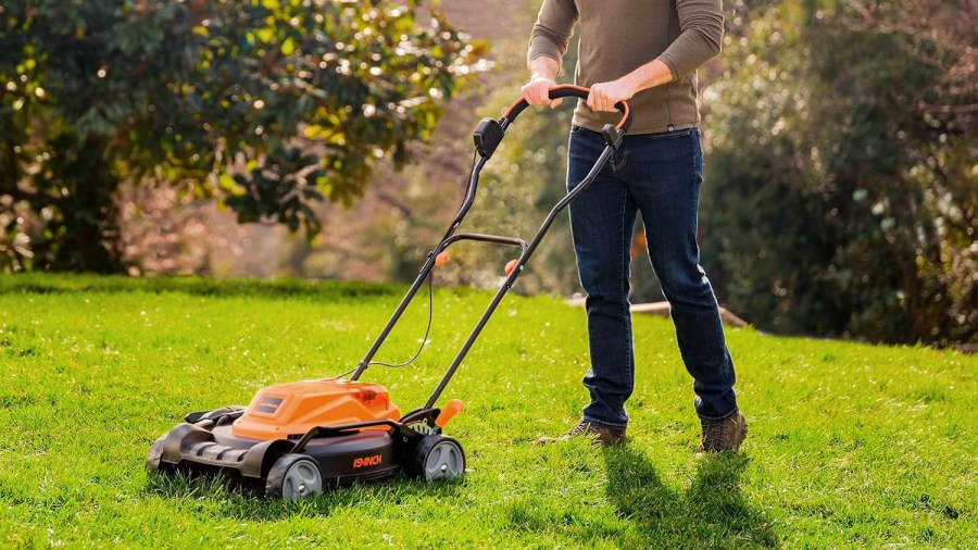 Rockford City Council approves $25,000 for Zion West’s youth lawncare ...