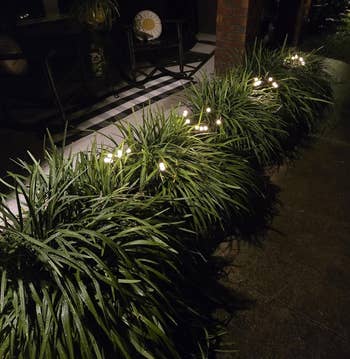 Garden pathway lit by string lights, with shrubs lining the edge. Comfortable seating visible on the porch. Ideal for outdoor ambiance shopping
