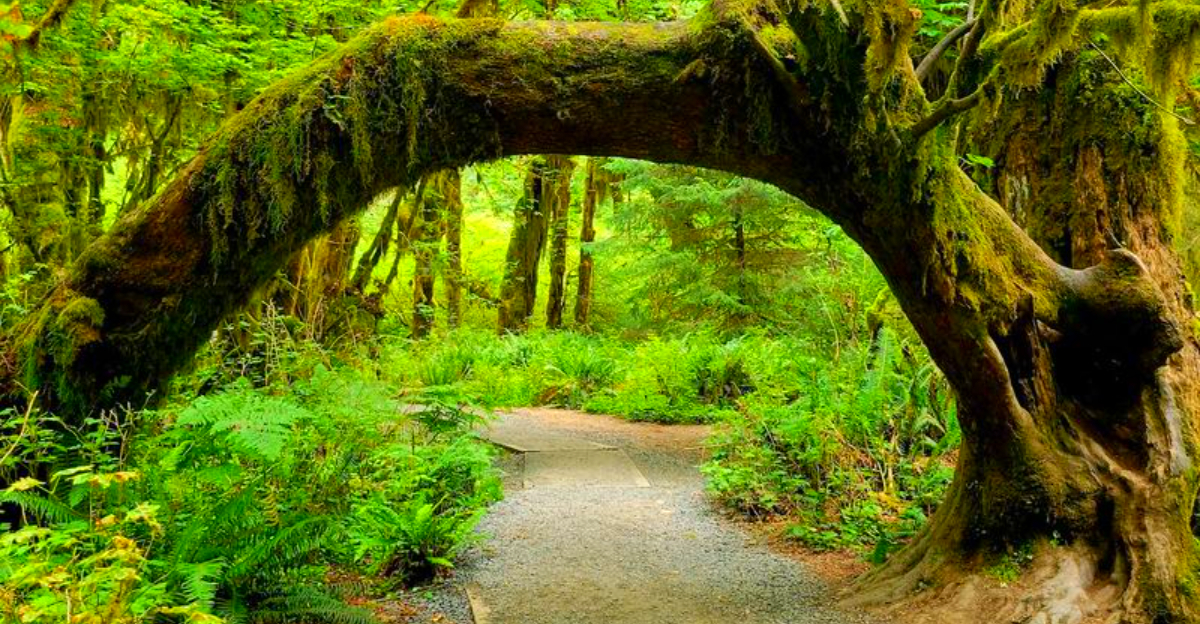 14 places that could pass for Tolkien’s Middle-earth