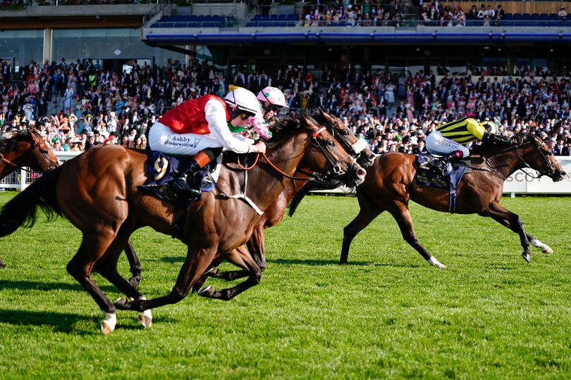 Royal Ascot forbids anyone attending from wearing 1 common item of clothing