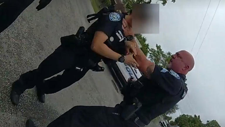 Ex-Sunrise police sergeant seen grabbing officer's neck avoids criminal ...