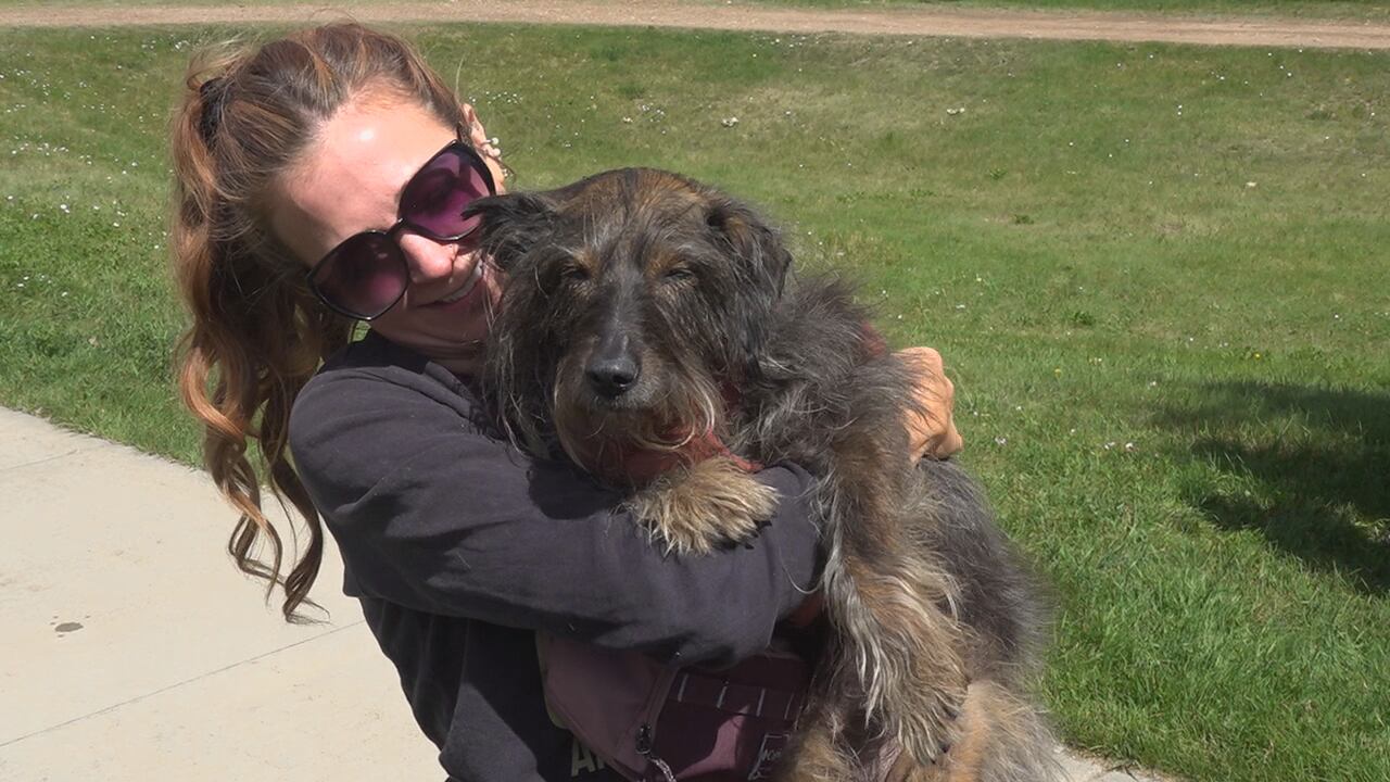 Humane Society brings long-term dogs to Greenway Days dog parade in ...