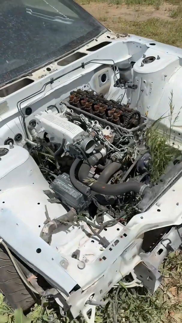 Decoding Vehicle Chassis Codes Trends in Car Identification Systems