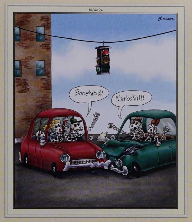 The Far Side: Skeletons call each other names following a car crash.