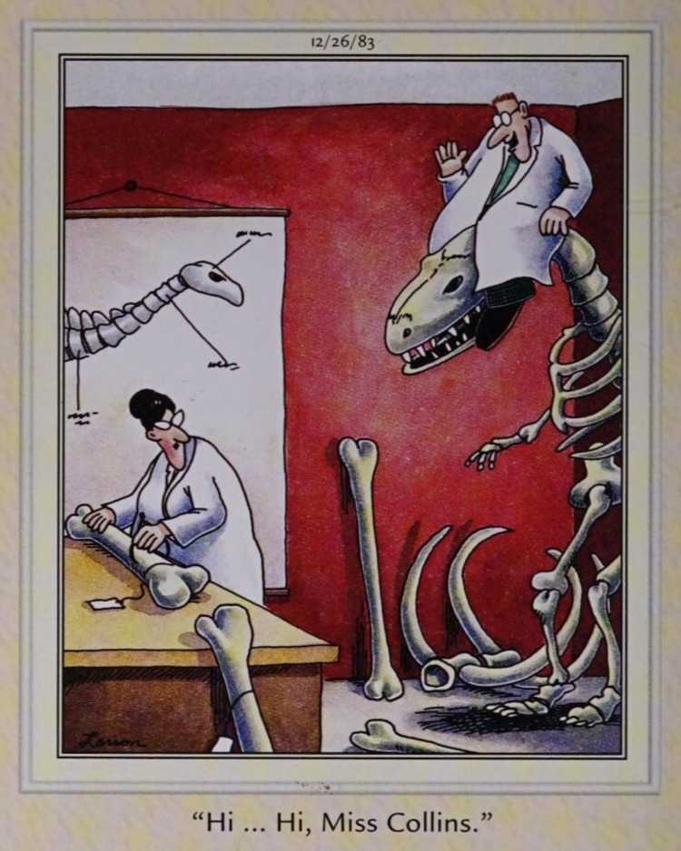 The Far Side: A museum curator sits atop the head of a dinosaur fossil, calling out to his coworker.
