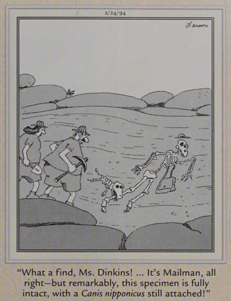 The Far Side: Two people find a fossilized Mail Carrier with an attached canine.
