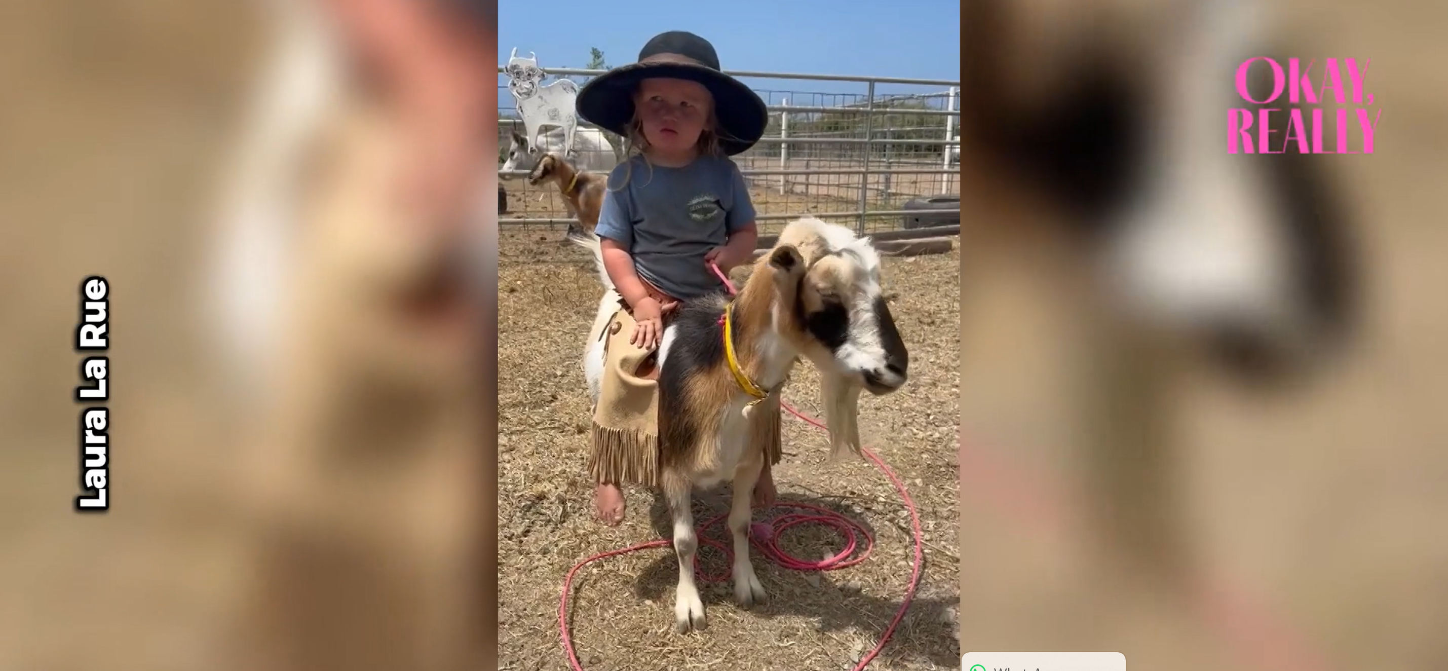Toddler's daily routine looks very different from most three-year-olds
