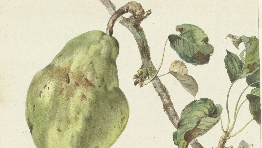 10 funny gardening mishaps and tiny harvests
