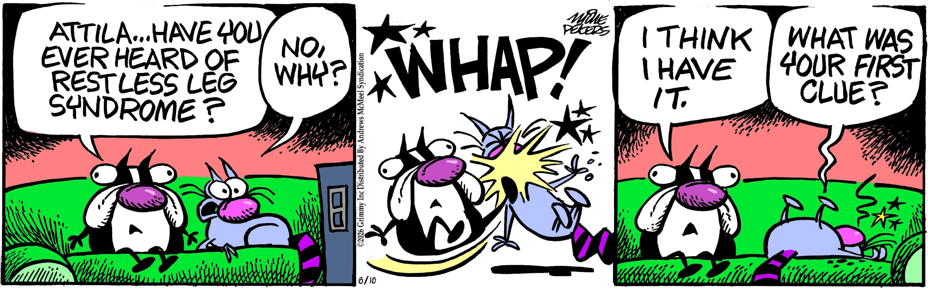Mother Goose and Grimm by Mike Peters