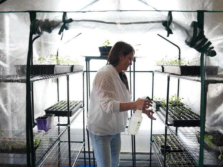 Éviter la prison en se cultivant une nouvelle vie
