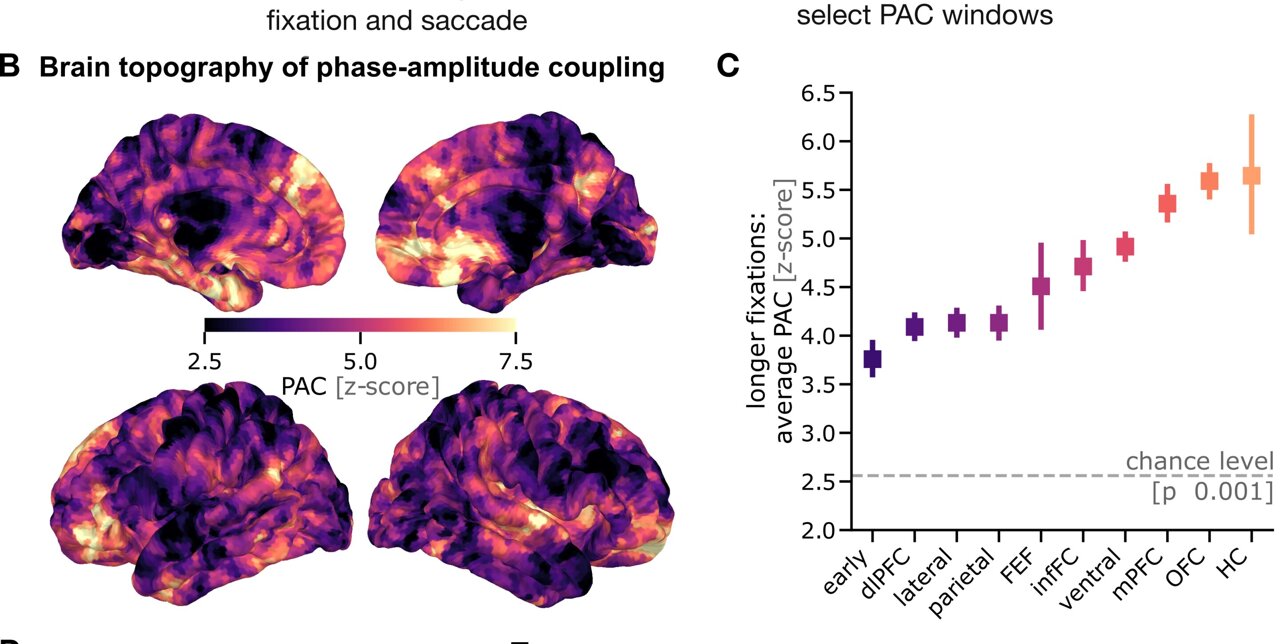 Gazing longer at something contributes to memory encoding, study finds