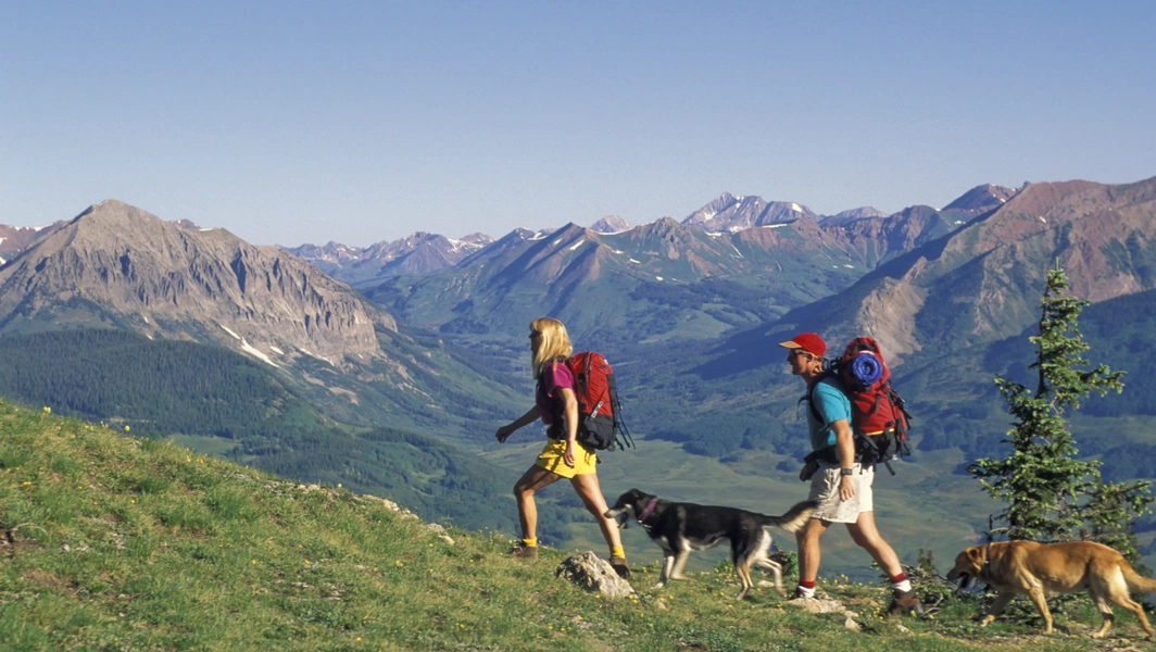 19-fun-and-active-adventures-for-dogs