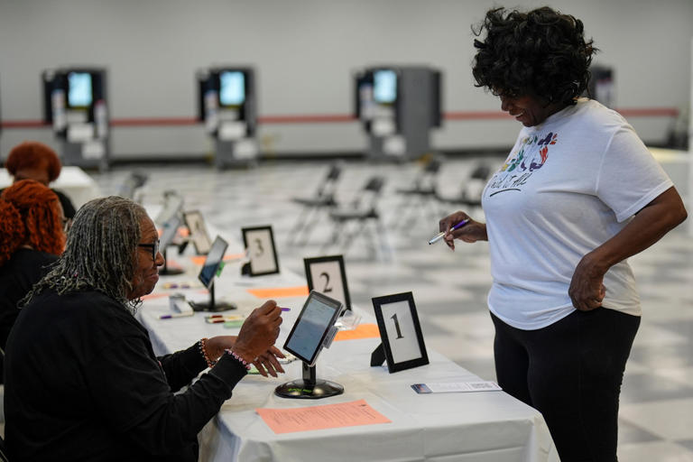Election 2026 Georgia Runoff