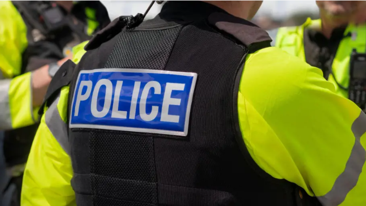 Inspector was 'chaser of young women', hearing told