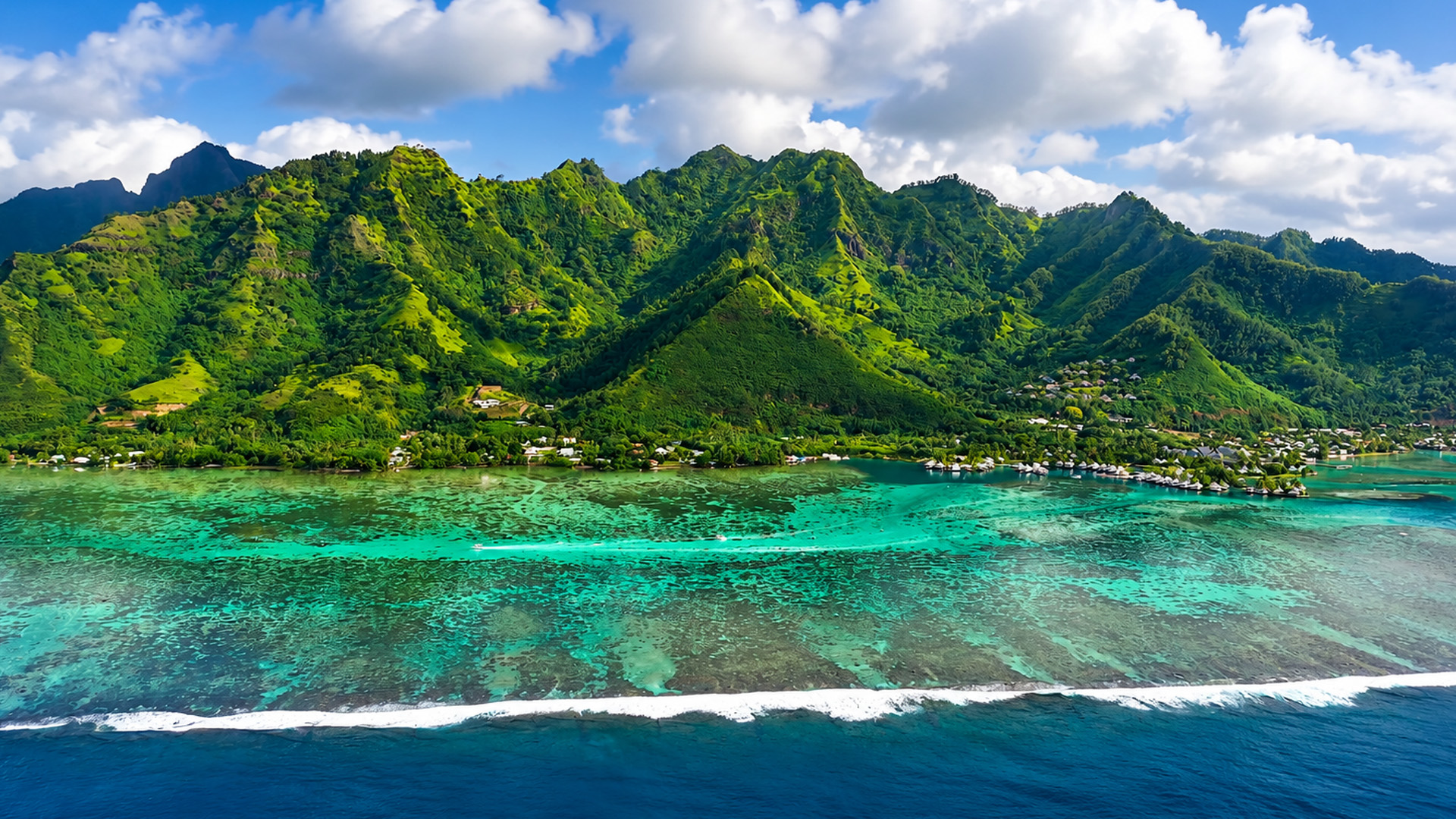 Why do so many people choose this island?
