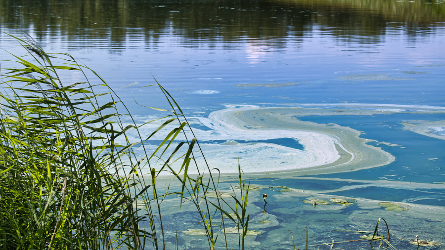 Water may be dangerous to enter at Lake Shawnee, here's why