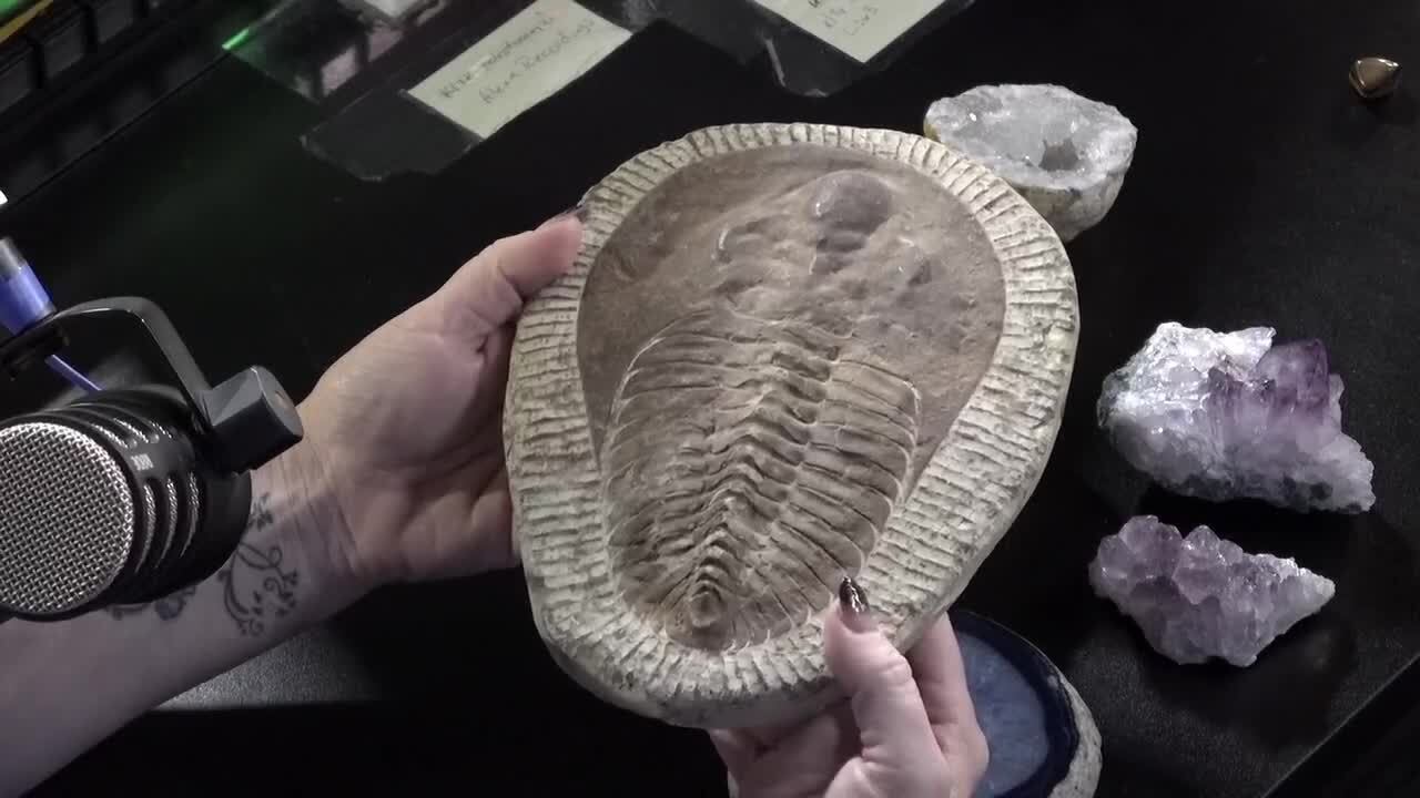 Dino bones, geodes and demos set for East Texas Gem and Mineral Show