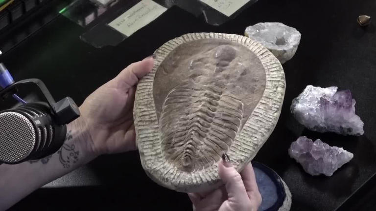 Dino bones, geodes and demos set for East Texas Gem and Mineral Show