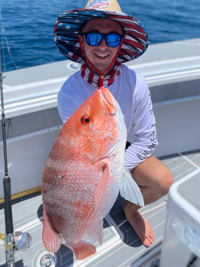 The red snapper life cycle
