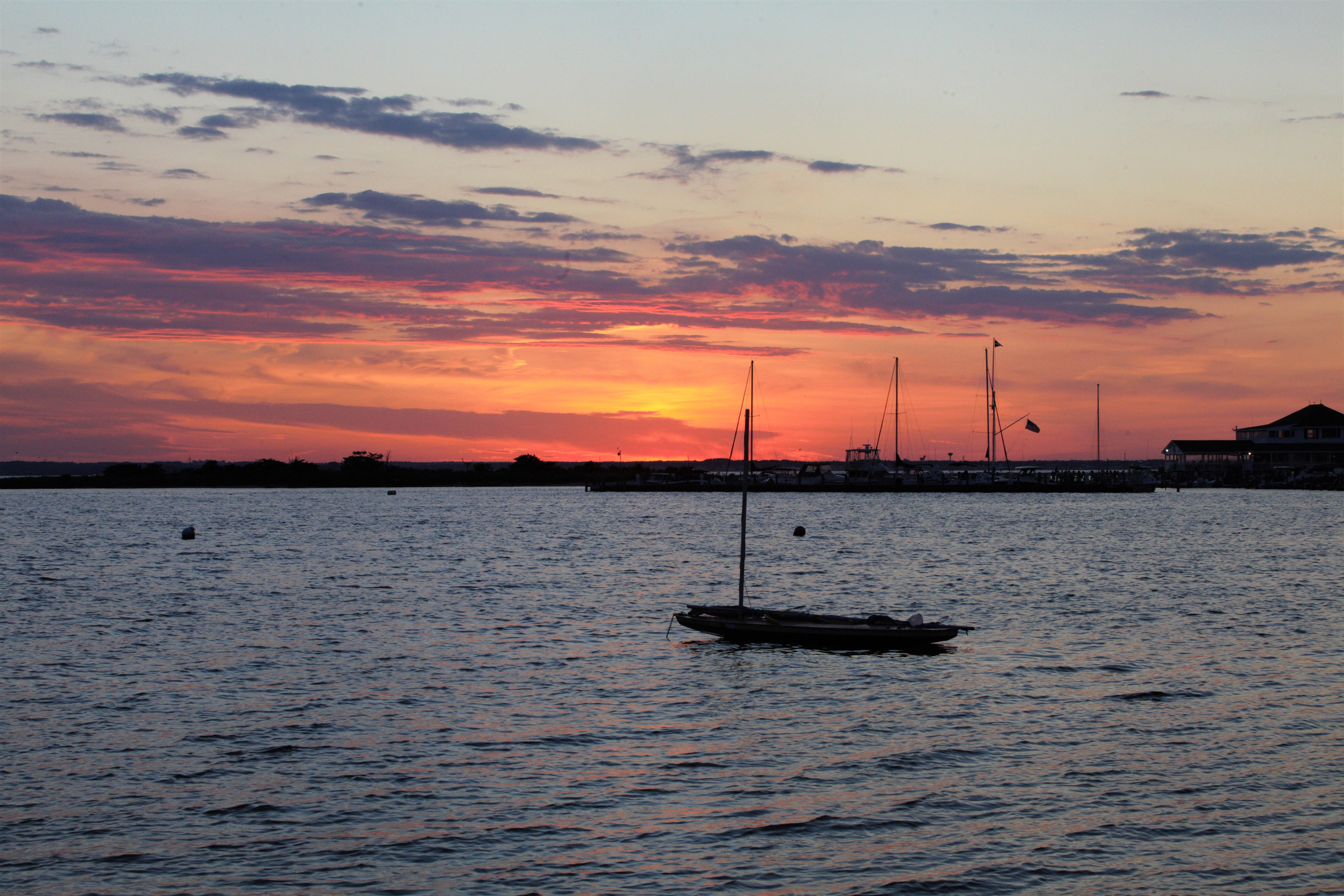 https://img-s-msn-com.akamaized.net/tenant/amp/entityid/AA25NWWz.img?w=768&h=512&m=4&q=75