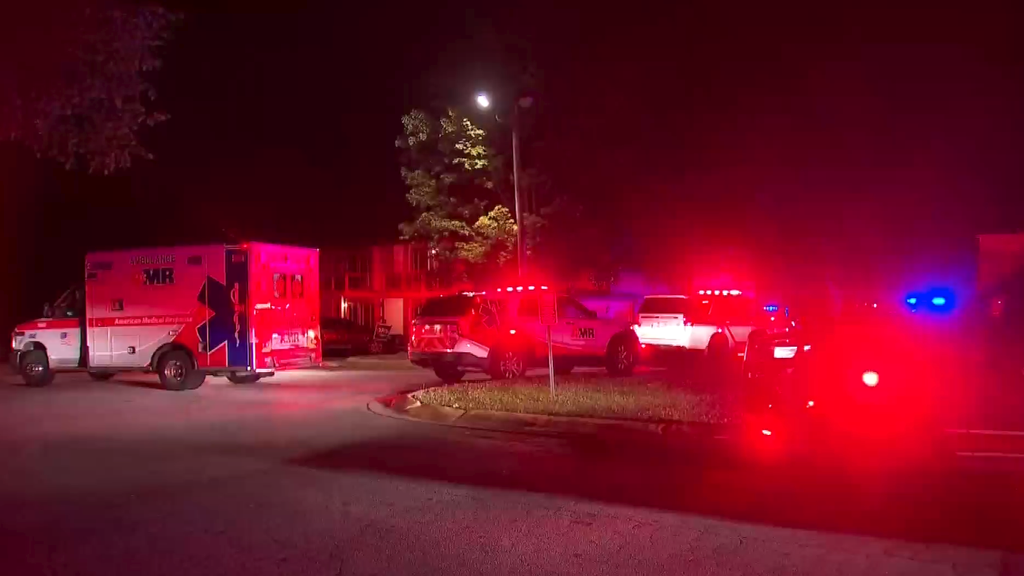 Pregnant woman and unborn child killed in Decatur apartment shooting ...