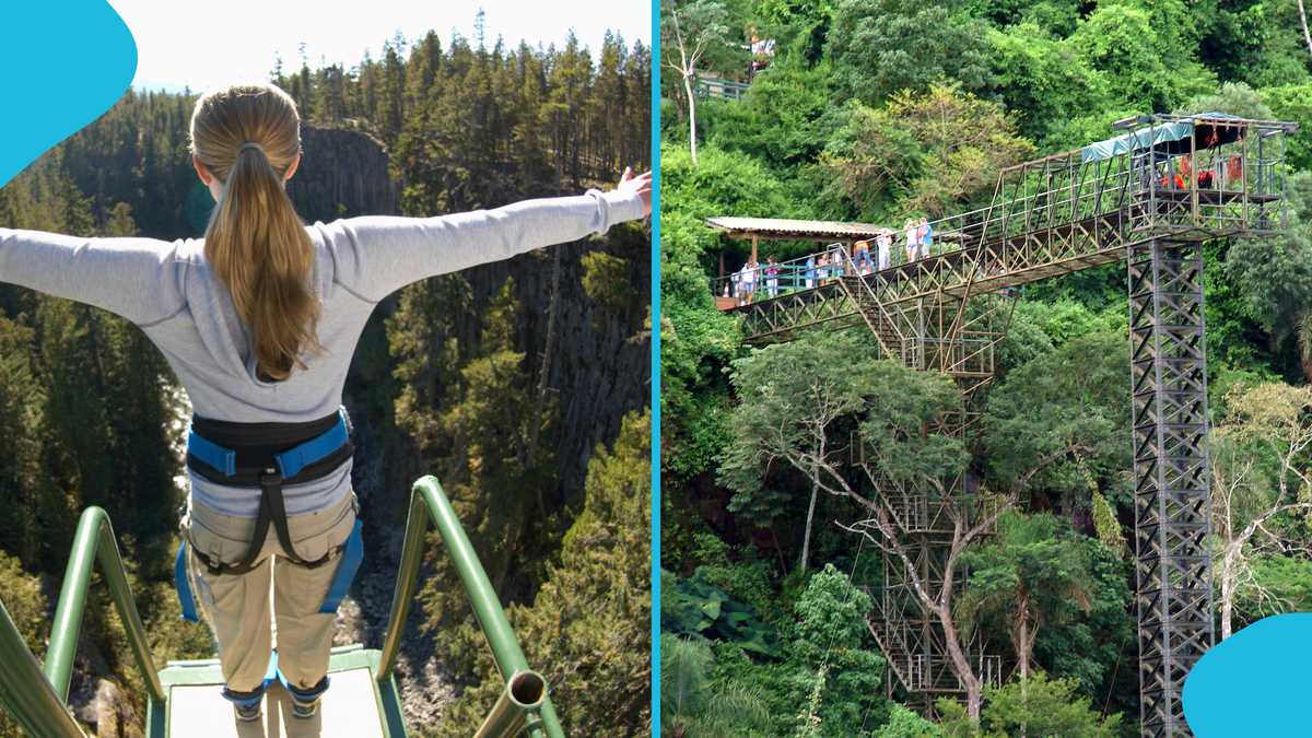 More details emerge after student dies in horror bungee jumping ...