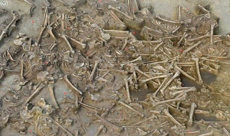 77 headless skeletons unearthed at mysterious 7,000-year-old Stone Age ...