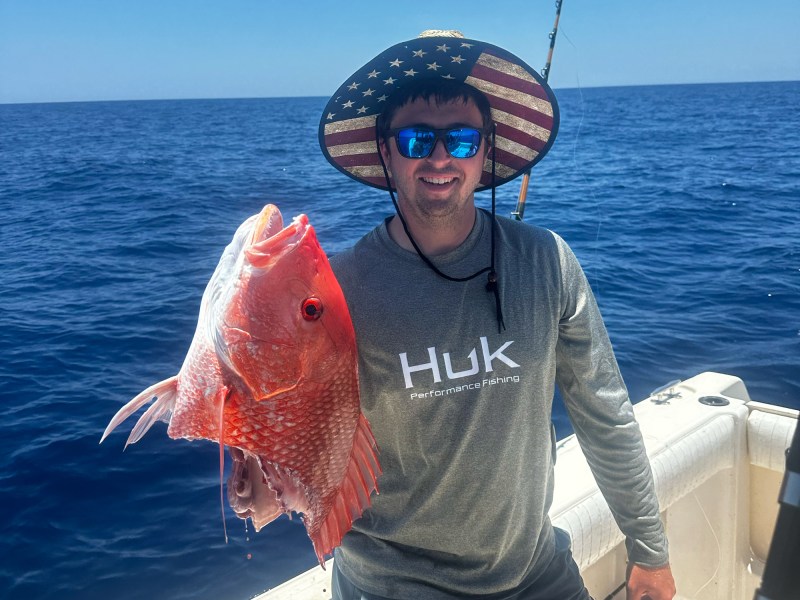 The red snapper life cycle