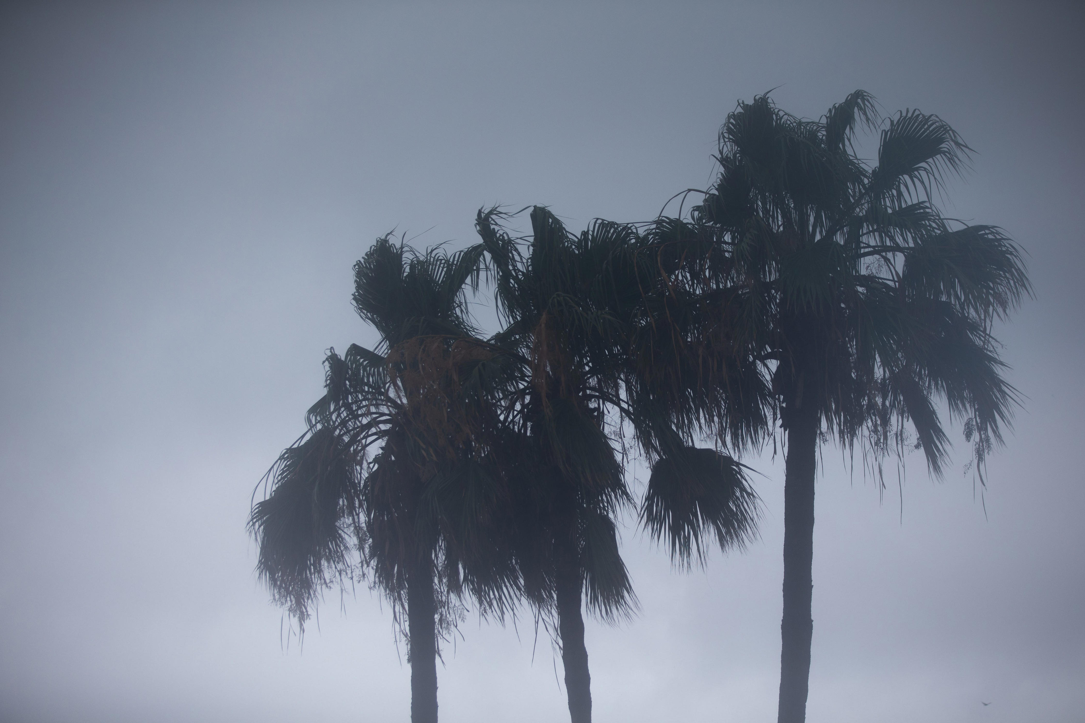 Heavy rainfall, flash flooding could hit Coastal Bend on Oct. 1