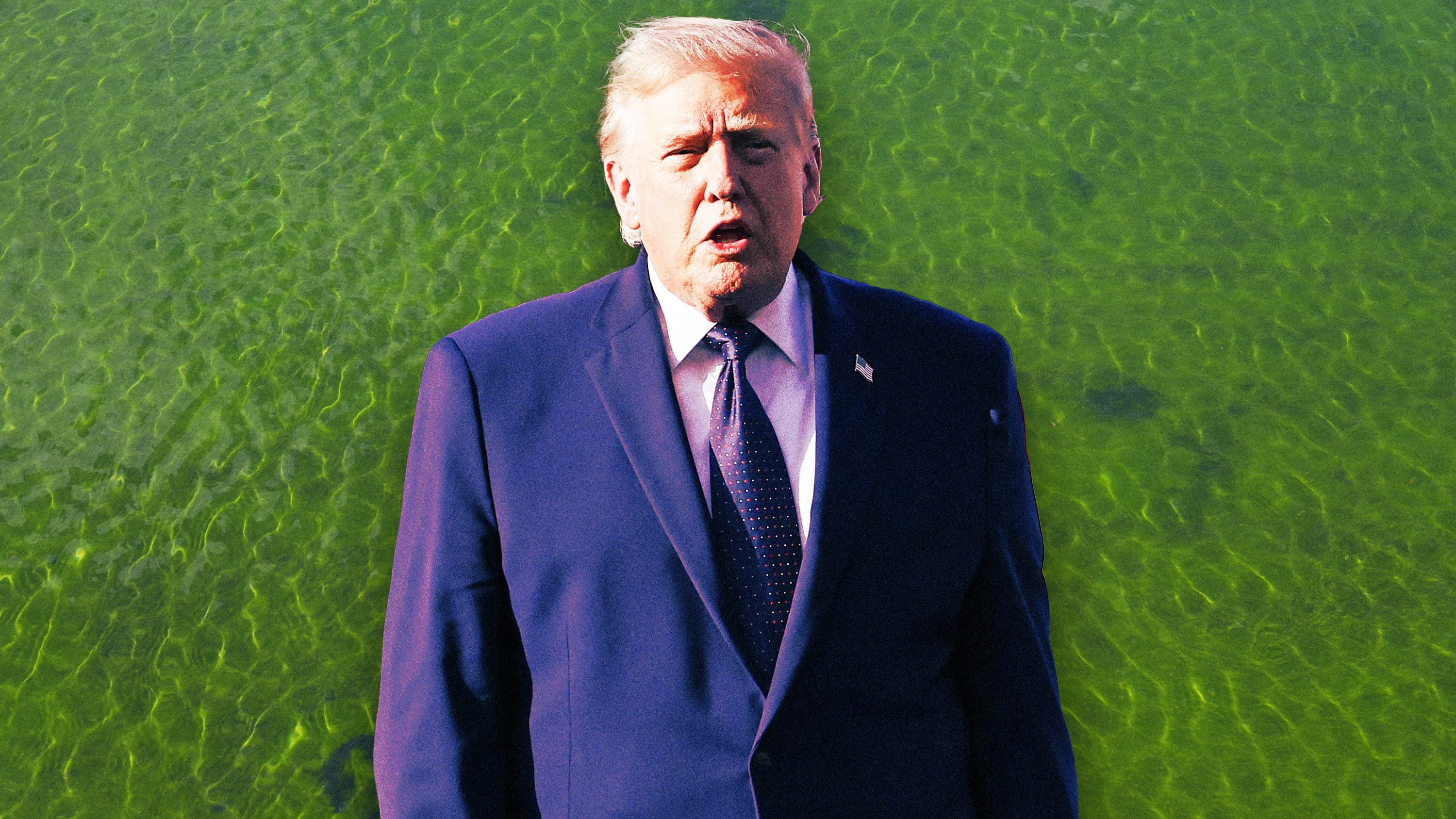Workers frantically chuck household bleach at Trump’s botched vanity ...