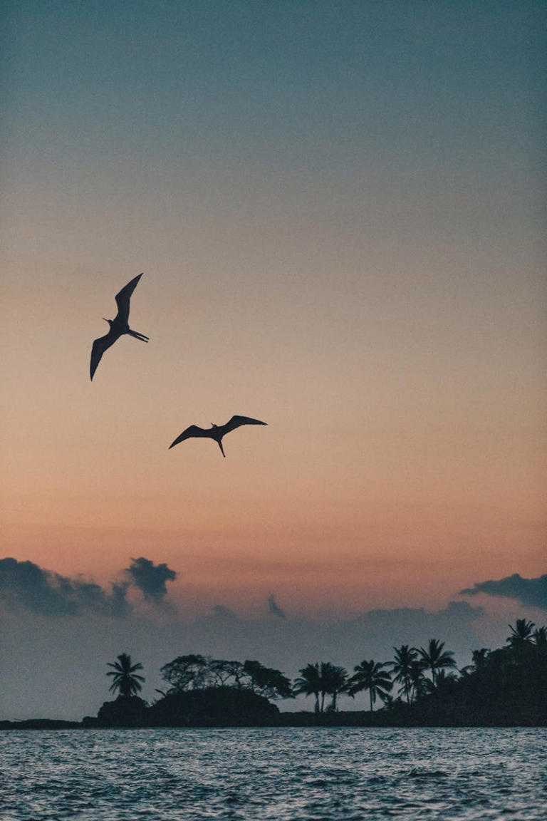 This private archipelago feels like the Galápagos meets the Maldives ...