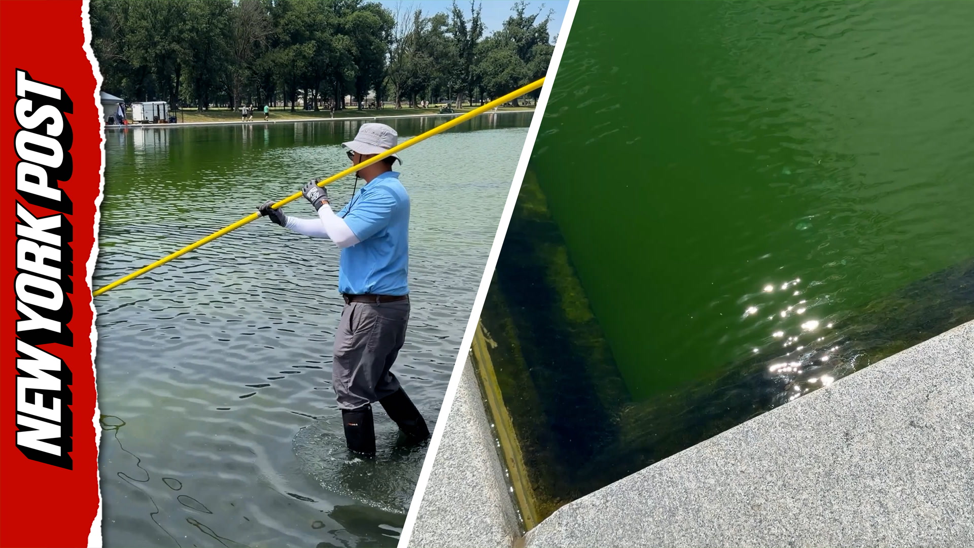 National Park Service using hydrogen peroxide to clean reflecting pool ...