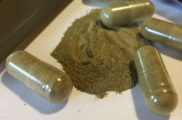 Opioid Task Force to host free webinar to examine kratom use, risks and ...
