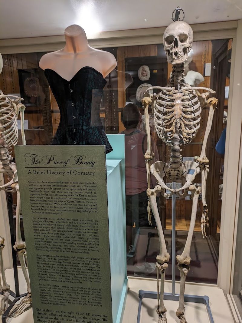 This Pennsylvania museum is one of the strangest and most fascinating ...