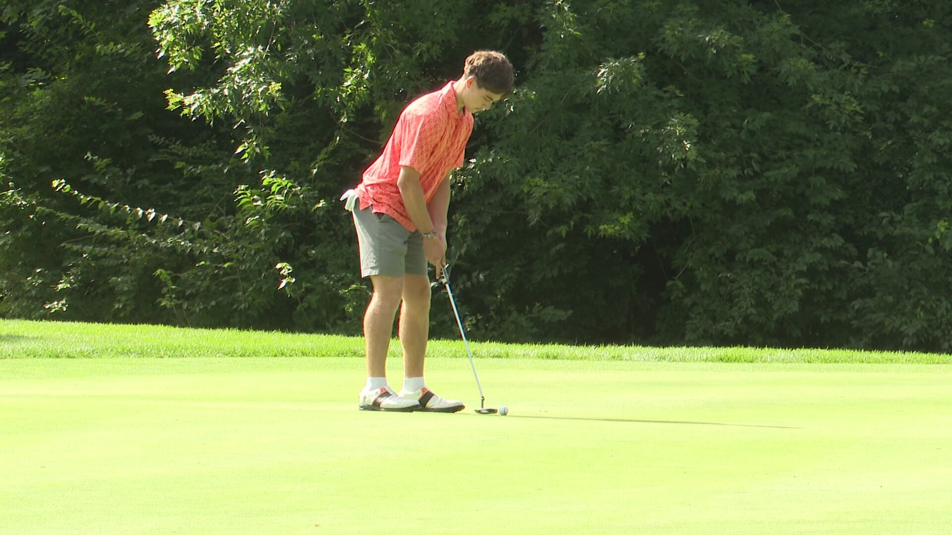 Several Michiana high school boys golf teams competing in state ...