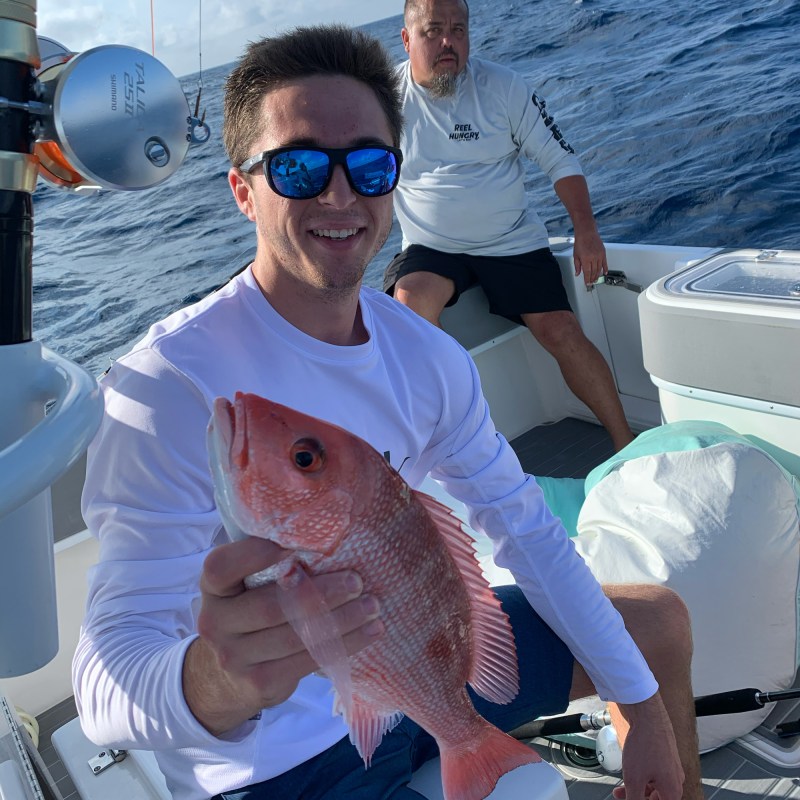 The red snapper life cycle
