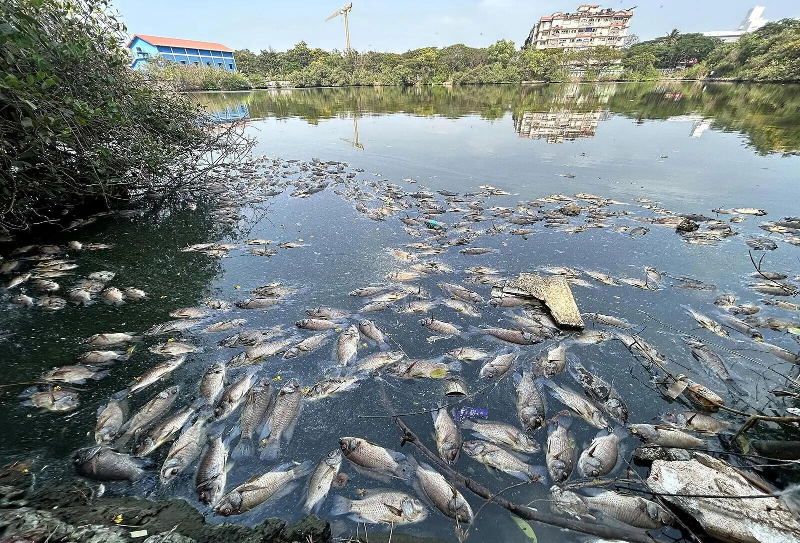 Mala Lake sewage fix still incomplete, HC told