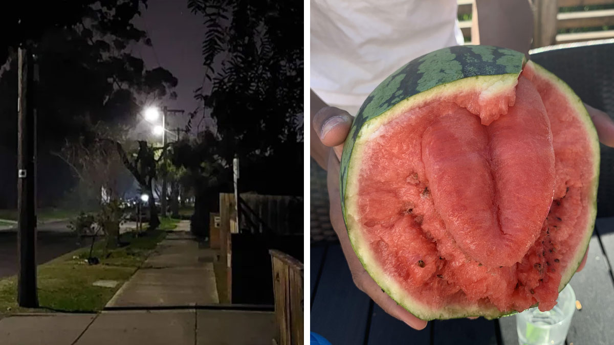 48 examples of ordinary objects looking like something else entirely
