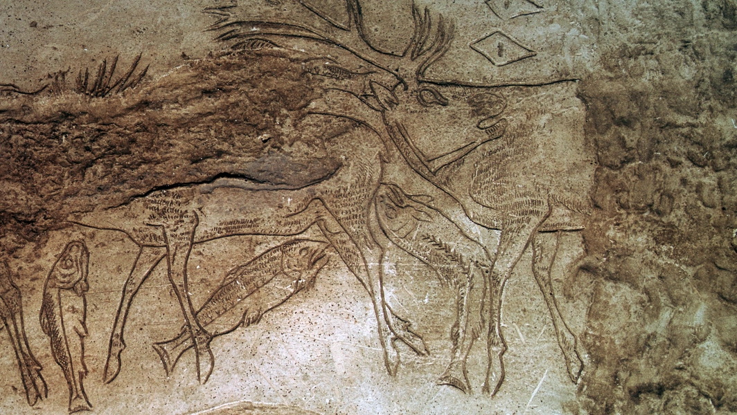 Radiocarbon data reveals 10,000 years of life in Pyrenees