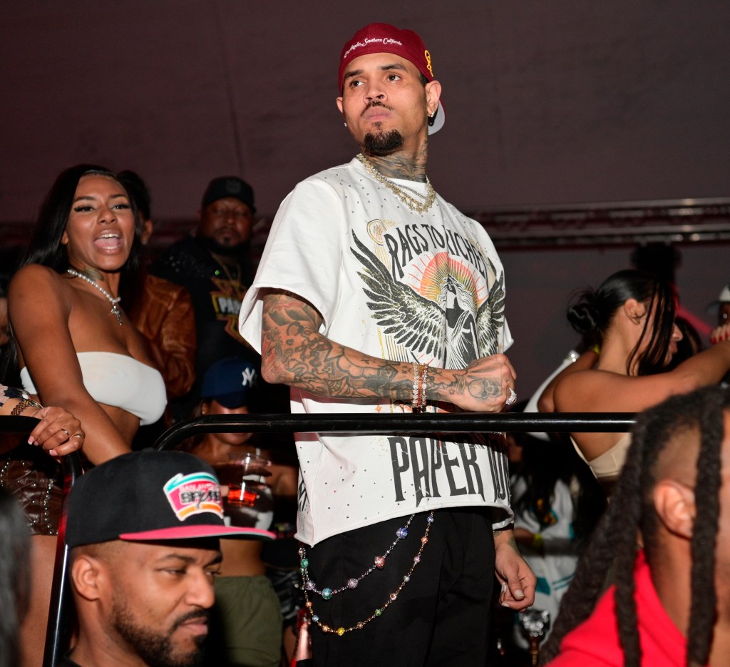 Shocking mistrial declared in $90M Chris Brown lawsuit involving dog ...