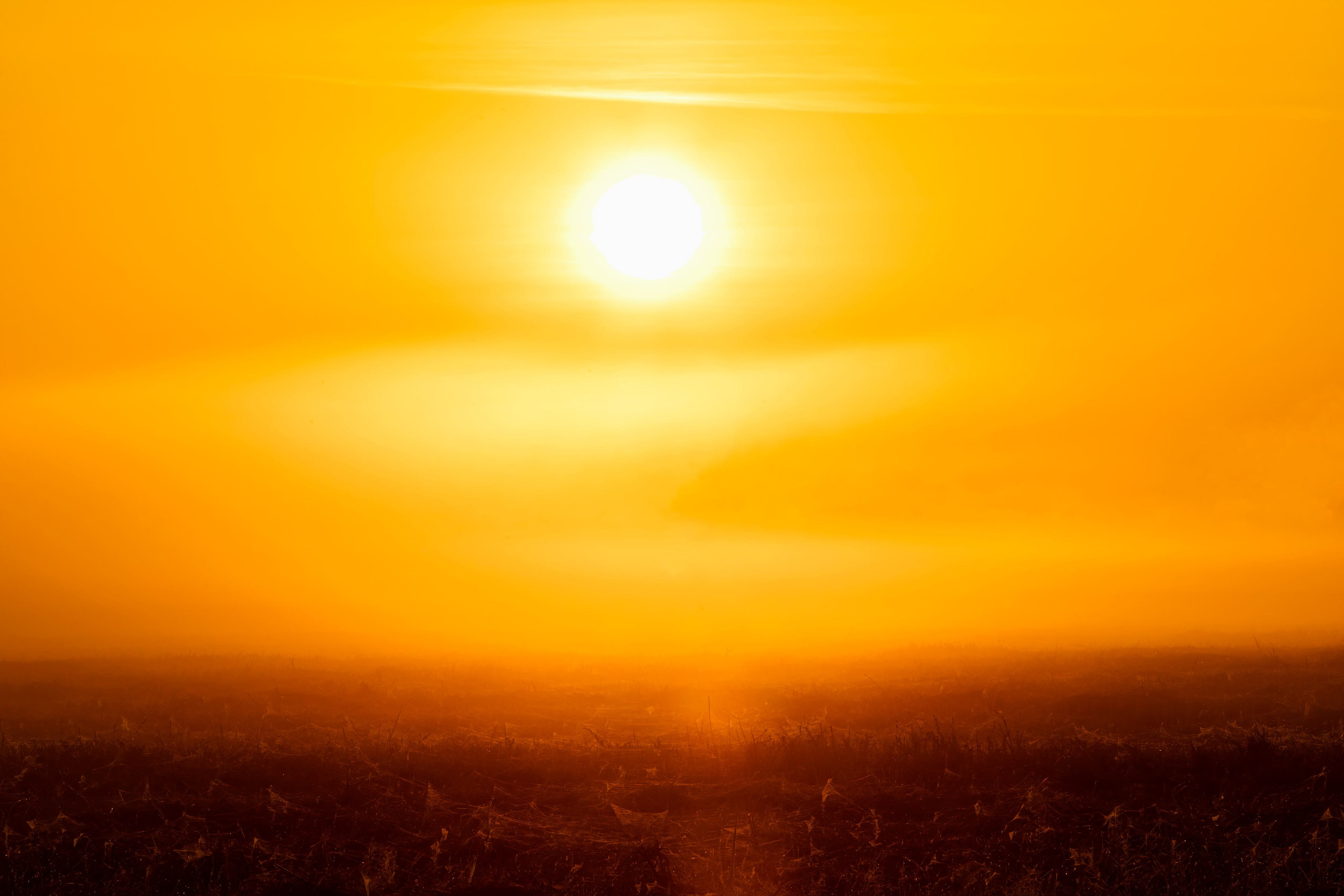Episode de chaleur des températures jusqu’à 37,3 °C dans le Sud ce — free download