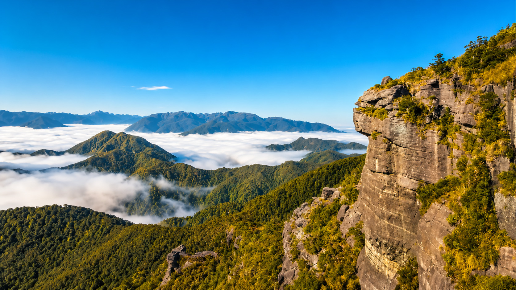 Mount Rochfort rising above New Zealand’s wild west coast