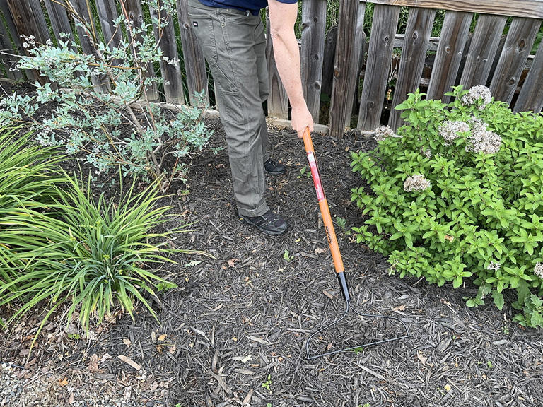 The best bow rakes of 2026, tested and reviewed