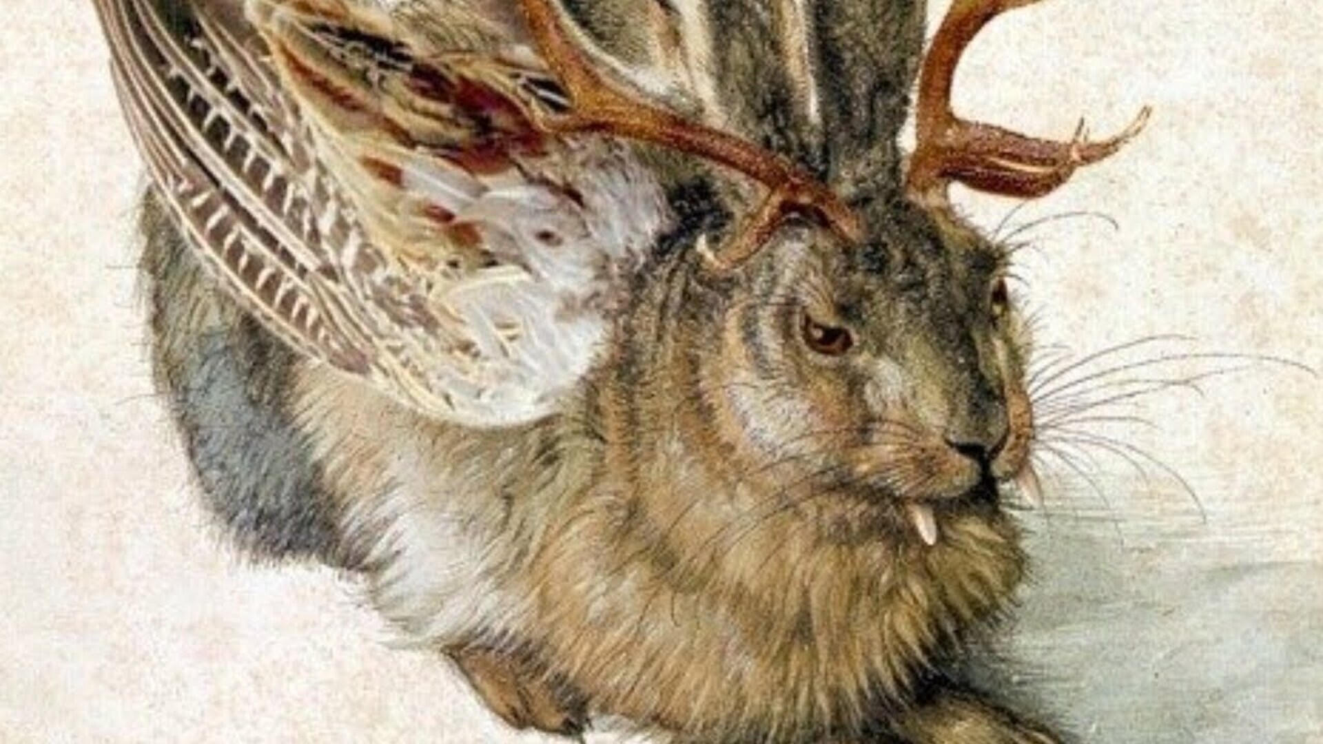 Jackalope: The truth behind the world's scariest rabbit