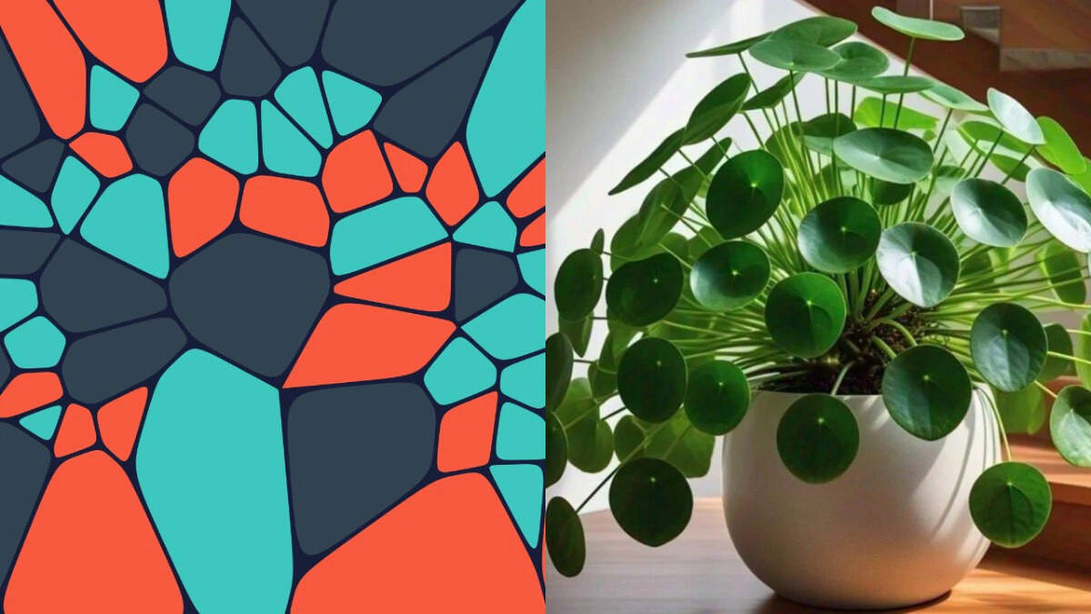 the-hidden-mathematical-pattern-inside-your-money-plant-s-leaves-will